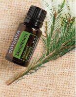 doTERRA Tea Tree ทีทรี 15ml โดดเด่นด้านการทำความสะอาด ให้ความชุ่มชื้น หอมสมุนไพร ให้อากาศบริสุทธิ์ สดชื่น