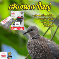 เสียงต่อ นกเขาใหญ่ 6ชั่วโมงไม่มีโฆษณา เมมโมรี่เล็ก(Micro SD) มีเก็บเงินปลายทาง ส่งด่วนKerry Express