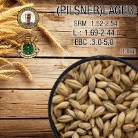 (Pilsner malt) Lager Malt (Thomas Fawcett)(5 Kg)