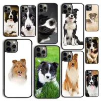 Beautiful Fun Border Collie Dog Puppies Phone Case Cover for iPhone 12 mini X XS XR 11 13 14 Pro Max SE 2020 Apple 5 6S 7 8 Plus