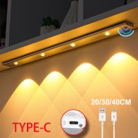 LED Motion Sensor Wireless Ultra Thin Night Light USB LED Wine cooler Light For Kitchen Cabinet Bedroom Wardrobe Indoor Lighting