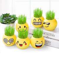 Small Potted Desktop DIYPlant Children Indoor Garden Balcony Planting Vase Pot