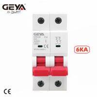 GEYA GYM10 Double Pole Din Rail MCB 6KA Miniature Circuit Breakers 40A 63A AC ประเภท CE CB-Mumie