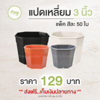 50 ใบ กระถางแคคตัส ทรงแปดเหลี่ยม 3 นิ้ว สีขาว สีดำ สีอิฐ สีเทา