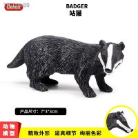 ? ของขวัญ Solid simulation animal world toy model European badger wildlife childrens plastic toys