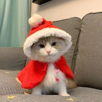 ZZOOI Cat Costume Santa Cosplay Funny Transformed Cat/Dog Pet Christmas Cape Dress Up Clothes Red Scarf Cap Cloak Photo Props Decor