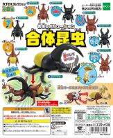 ของเล่น Gashapon แมลง Syncytial แมลง Uang Spade Beetle 5ชนิดรุ่น Q ของเล่นประดับโมเดลตุ๊กตาขยับแขนขาได้