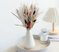 【cw】 Dried Flowers Immortal Tail Teed Bouquet Decoration Pieces Reed