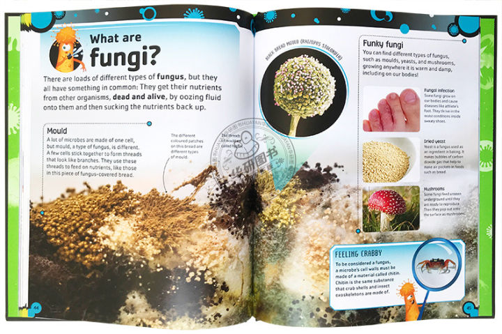 dk-fine-jun-manual-english-original-the-bacteria-book-encyclopedia-of-microbial-knowledge-virus-true-jun-algae-archaea-and-protozoa-english-original-hardcover-english-book