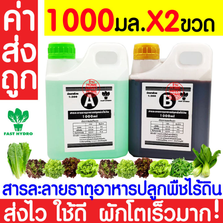 ค่าส่งถูก-สารละลาย-ab-800mlx2ขวด-ไฮโดรโปนิกส์-เอบี-ธาตุอาหาร-น้ำ-ผักไฮโดร-hydroponics-ผักสลัด-ผักไทย-ผักจีน-ปลูกพืชไร้ดิน-ปลูกผักไฮโดร-ส่งไว-ผักโตเร็ว-ขึ้นฉ่าย-คะน้า-กวางตุ้ง-คอส-ผักกาด