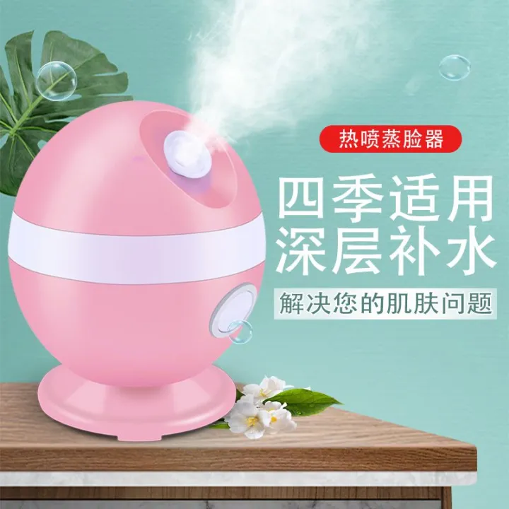 One year for a new hot spray steamer, fruit and vegetable steamer, open