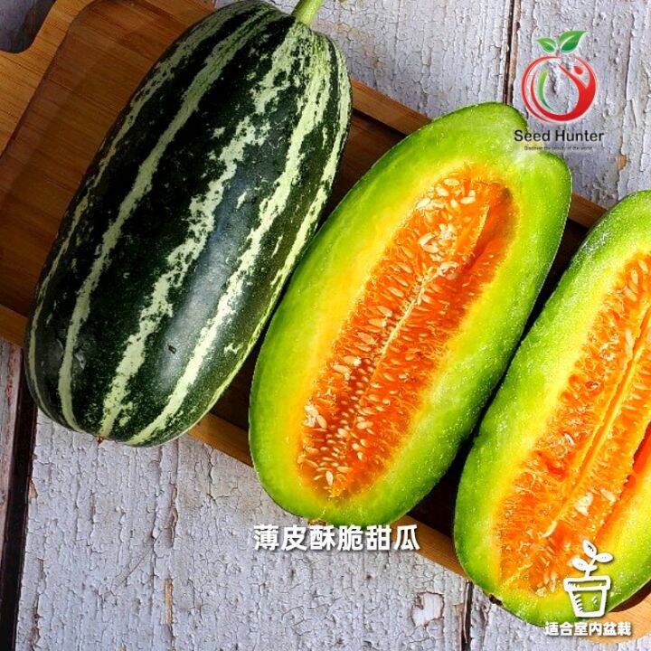 buy one get one free，50 seeds (not plants) Thin Film Sweet Melon Seeds