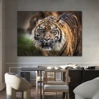 Tiger Canvas Wall Art - Majestic Wild Animal ภาพวาดสำหรับตกแต่งบ้านสมัยใหม่,เหมาะสำหรับห้องนั่งเล่นและห้องนอน,โปสเตอร์และภาพพิมพ์,ไม่รวมกรอบ1007