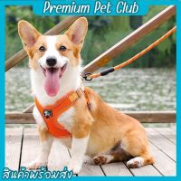 (☞ﾟヮﾟ)☞Premium pet club☜(ﾟヮﾟ☜)สายรัดคอสะท้อนแสง สายจูงสุนัข สายจูงสัตว์เลี้ยง สายจูงหมา สายจูงแมว เสื้อกั๊ก สายรัดอกสุนัข【พร้อมส่ง】