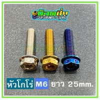 น็อตสแตนเลส หัวโกโร่ ขนาดเกลียว m6 ยาว 25 mm.