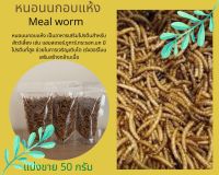 หนอกนกอบแห้ง หนอนนก Mealworm อาหารหนูแฮมเตอร์ อาหารนก (แบ่งขาย 50 กรัม)อาหารกระรอก อาหารเม่นแคระ