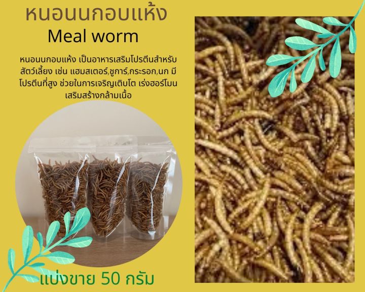 หนอกนกอบแห้ง-หนอนนก-mealworm-อาหารหนูแฮมเตอร์-อาหารนก-แบ่งขาย-50-กรัม-อาหารกระรอก-อาหารเม่นแคระ