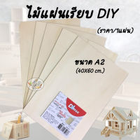 แผ่นไม้ DIY A2 แผ่นใหญ่ 40x60 cm. (งานประดิษฐ์ ต่างๆ)