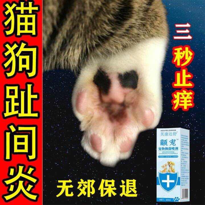 Pet interdactylitis dogs and cats general toe inflammation rotten intertoe seam red swollen