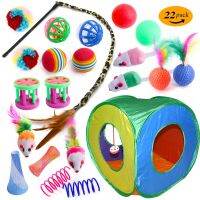 [COD] Cross-border new pet cat toy set bell ball leopard teasing stick mouse spring tunnel 22 pieces