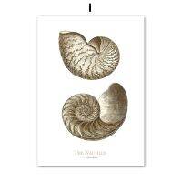 Luyameishop Retro Fossil Sea Creatures Canvas Wall Art-โปสเตอร์และภาพพิมพ์สไตล์นอร์ดิกสำหรับตกแต่งบ้าน