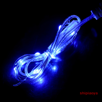 shipiaoya ไฟสาย10LED แบบ USB ยาว1ม. 1เส้นไฟสายทองแดงไฟนางฟ้ากันน้ำสำหรับตกแต่งคริสต์มาสงานแต่งงานงานปาร์ตี้