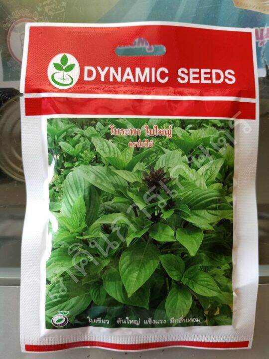 เมล็ดพันธุ์โหระพา-ใบใหญ่-dynamic-seeds-ขนาด-50-กรัม