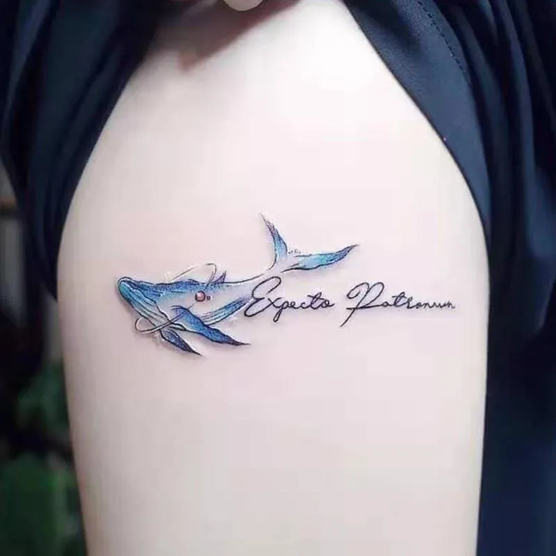 50 hình xăm cá voi cực chất cho nam giới  Whale Tattoo Designs  Tạp Chí Hình  Xăm