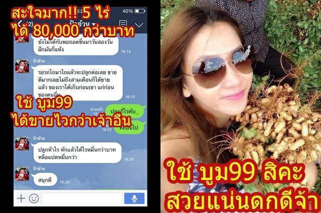 ผักสวนครัว-พืชไร่-พืชผล-ไม่ว่าคุณจากปลูกอะไร-ขอให้บูม99-ช่วยเพิ่มผลิตของท่าน