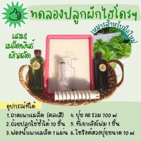 ?สุดพิเศษ ใหม่ล่าสุด! ชุดอุปกรณ์ทดลองปลุกผักไฮโดร ปลูกผักไฮโดรโปรนิกส์สำหรับมือใหม่ แถมเมล็ดทุกออเดอร์ สุดพิเศษ