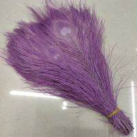 Wholesale 10 PCS beautiful light purple 25 30 cm/10 12 inches high quantity peacock feathers all sorts of adornment