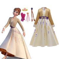 Frozen Princess Girls Dress Anna Cosplay Costume Snow Queen Long Dresses Anna Dress for Birthday Christmas Cosplay Costume