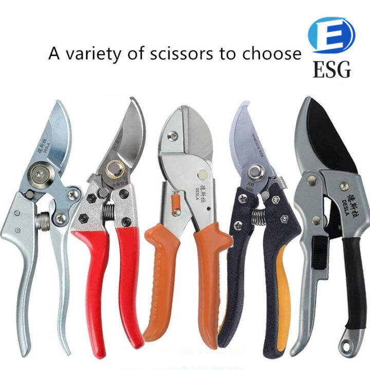 Pruning Shears Bonsai Graft Garden Shears Stainless Steel Pruning