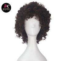 Miss U Hair Short Fluffy Afro Dark Brown Synthetic Hair Anime Cosplay Funny Wigs For Unisex Men Women