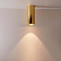 Nordic Gold LED Downlight Long Tube Surface Mounted Modern Aluminum Spotlight for Indoor Office Living Room Kitchen Ceiling Lamp  by Hs2023