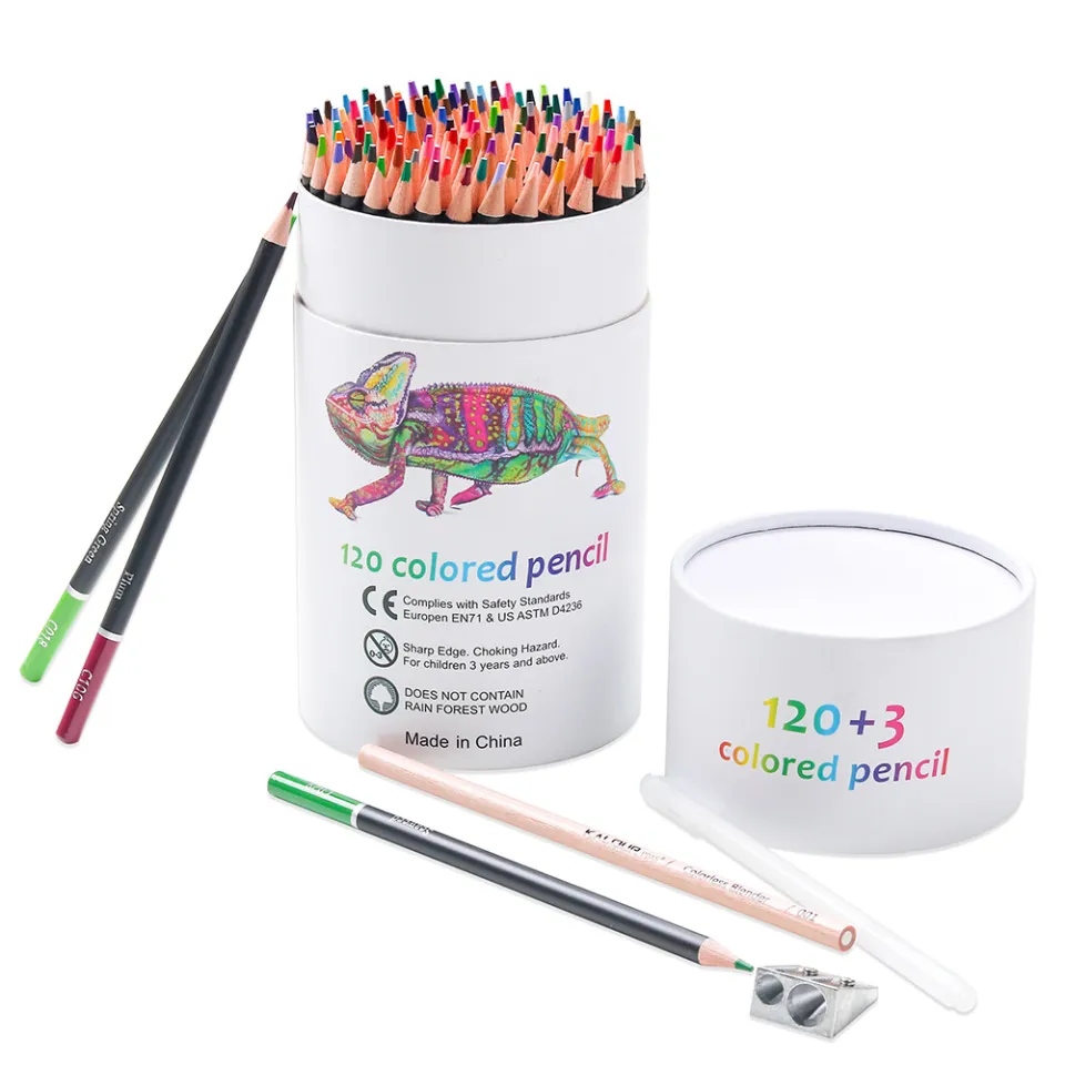 Art Pencil Set - 123 Piece