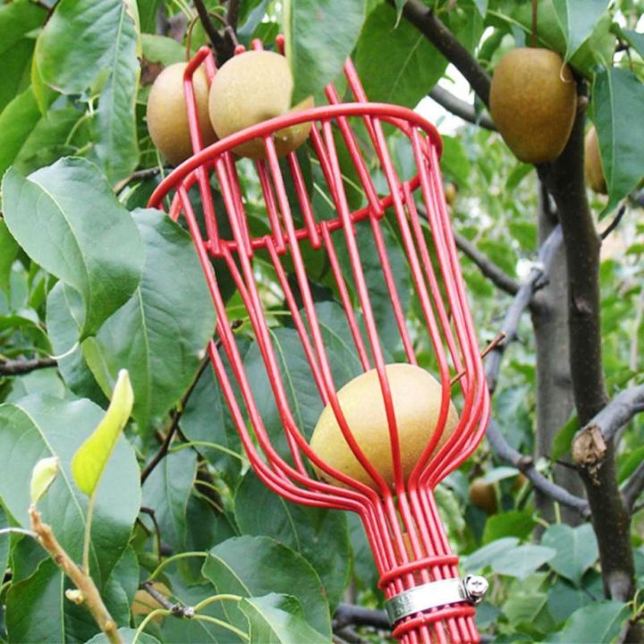 outdoor-deep-basket-garden-tools-fruit-picker-head-metal-fruit-picking-tools-fruits-catcher-harvest-picking