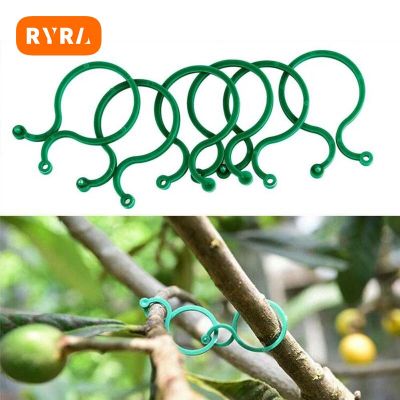 RYRA 50ชิ้นหัวเข็มขัดเถาองุ่น,แหวนคลิปผูกเถาวัลย์เครื่องมือฉากยึดที่จับพืชสวนเครื่องมือของตกแต่งสวนที่ยึดต้นไม้