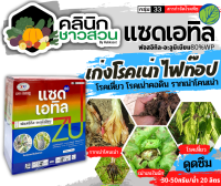 ? แซดเอทิล (ฟอสอีทิล-อะลูมิเนียม) บรรจุ 1กิโลกรัม ใช้ป้องกันกำจัดโรคยอดเน่า