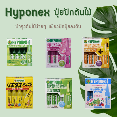 Hyponex ปุ๋ยปักต้นไม้จากญี่ปุ่น บำรุงต้นไม้ จำนวน 10 หลอด