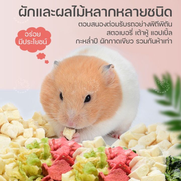 yee-ขนม-ผักและผลไม้ฟรีสดราย-ขนมแฮมเตอร์-เม่นแคระ