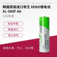 XL-060F วัดพลังงาน XENO 3.6V,มิเตอร์น้ำอัจฉริยะมาตรวัดก๊าซลาดตระเวน2023/1ชิ้นแท่งแบตเตอรี่