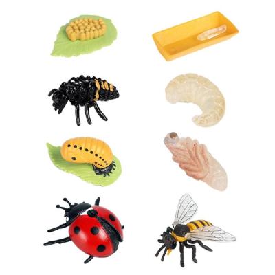 Animal Life Cycle Figurines 8PCS Ladybug and Bee Life Cycle Kit Bee Toy Farm Animal Growth Model Figure Biological Model Science Toys for Kids 3-5 Preschool Learning Toys noble