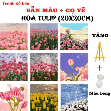 Bộ tranh sơn dầu acrylic Hamlet tô màu theo số hình hoa tulip làm quà tặng  trang trí cỡ 20  2030  30cm  Shopee Việt Nam