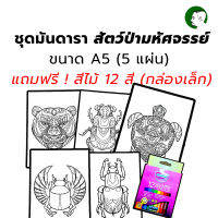 ภาพระบายสีมันดารา ชุดป่ามหัศจรรย์ ขนาด A5 แถมฟรีสีไม้ Master Art Premium Grade กล่องเล็ก