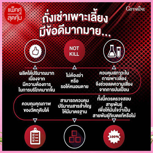 มี-อย-ถูกต้อง-สุดคุ้มgiffarinถั่ง-เช่าสำหรับคุณผู้หญิงและคุณผู้ชายบำรุงร่างกาย-จำนวน2กระปุก-บรรจุกระปุกละ20แคปซูล-paoam