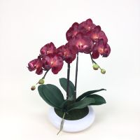 OrientalFineArt  ดอกกล้วยไม้ประดิษฐ์ กระถางดอกกล้วยไม้ Phalaenopsis สำหรับวางประดับตกแต่ง