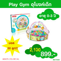 ToySmart Play Gym ลายนกฮูก