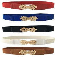 【CW】 1Pcs Waistband Alloy Leaves Buckle Thin Waist Elastic Band Fashion Stretch