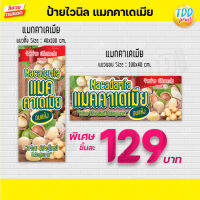 ป้ายไวนิลแมคคาเดเมียV1 (macadamia nuts) ป้ายทนแดด กันน้ำ ภาพคมชัด สีสวยสดใส พร้อมใช้งาน